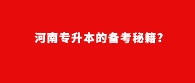 河南专升本的备考秘籍?