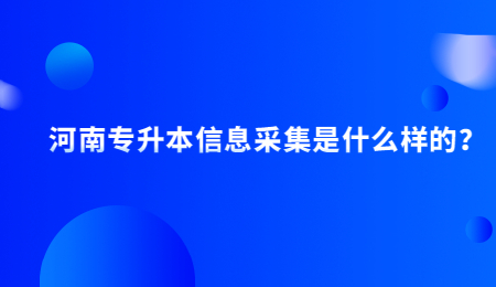 河南专升本信息采集是什么样的？.jpg