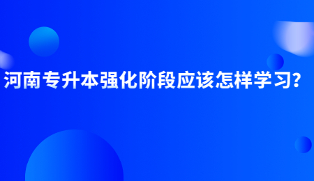 河南专升本强化阶段应该怎样学习？.jpg