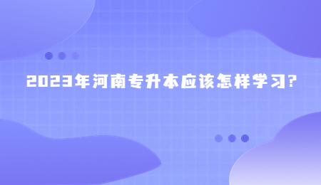 2023年河南专升本应该怎样学习？.jpg