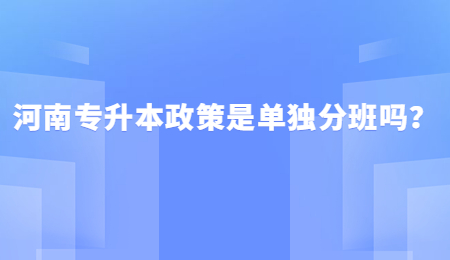 河南专升本政策是单独分班吗？.jpg