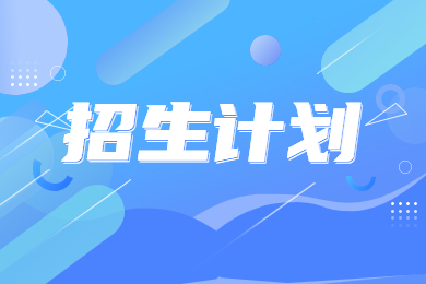 2024年郑州西亚斯学院专升本招生计划共205人